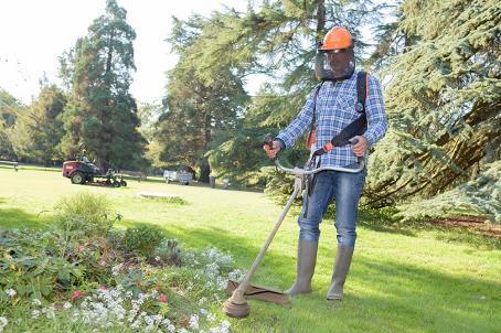 lawn-care-austin