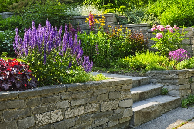 landscaping design in Austin